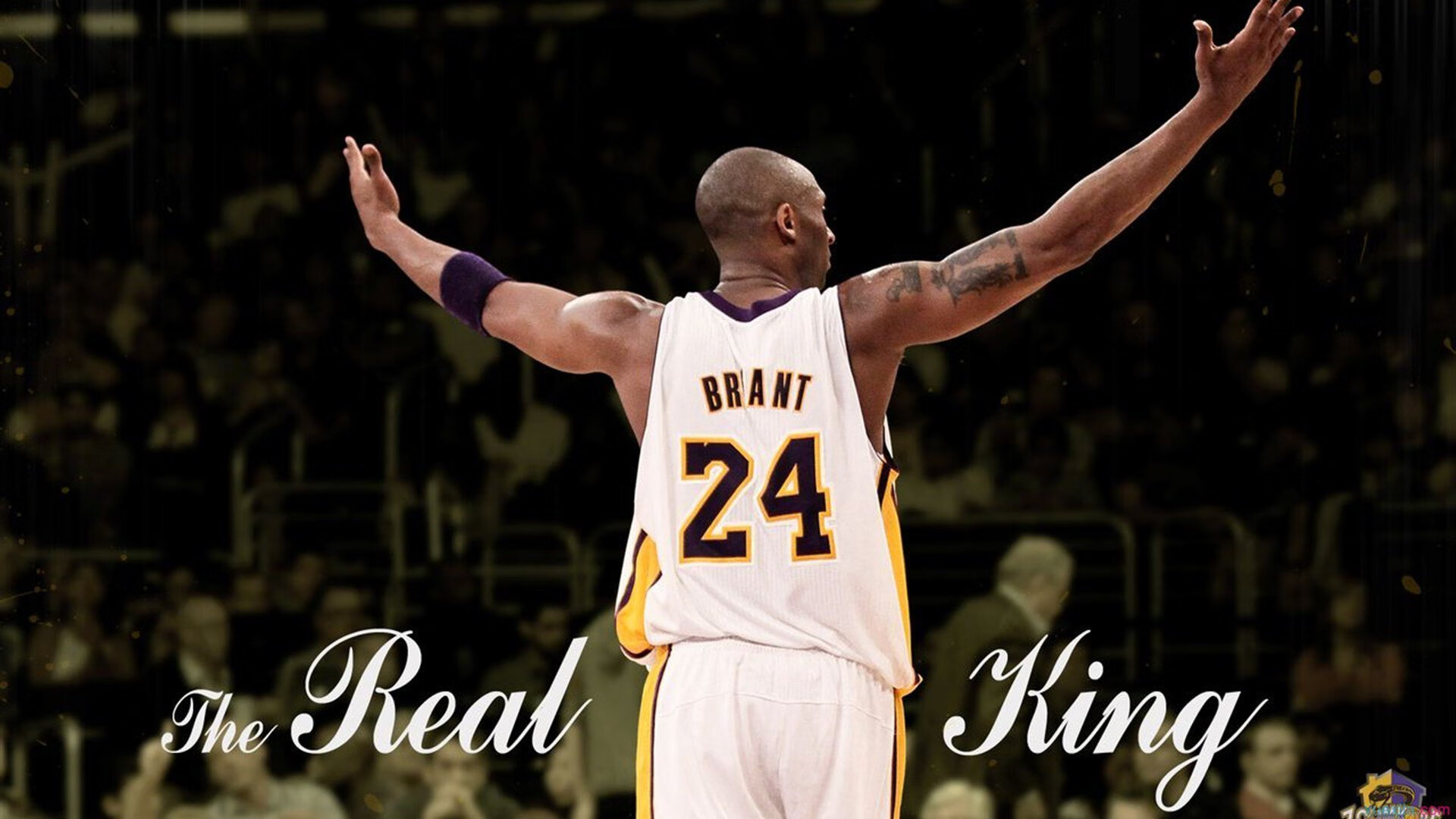 “极地奇景”——从雪山到海底的全球赛场亮点,极地海底世界冰雪乐园